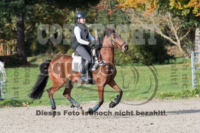 IGV Lehrgang der Sieger der Cups mit Frank Ostholt