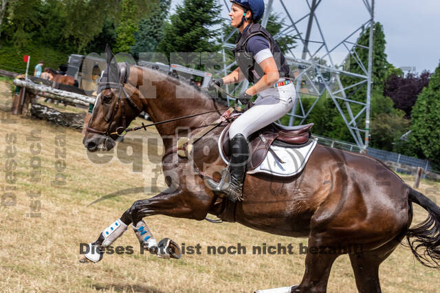 Late-Entry Vielseitigkeit Hamminkeln/Wesel (01.+02.08.2020)