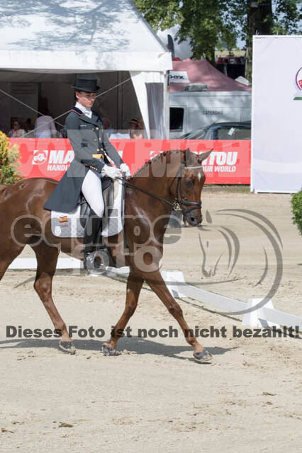 FEI European Championship Eventing 2017