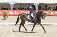 FEI European Championship