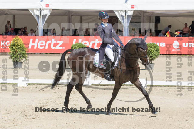 FEI European Championship