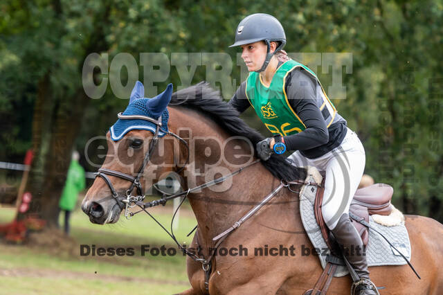 Vielseitigkeit RSV Wesel Obrighoven (26.+27.09.2020)