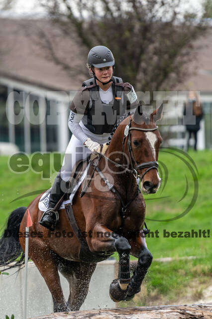 Goldene Schärpe 2020 - Pferde