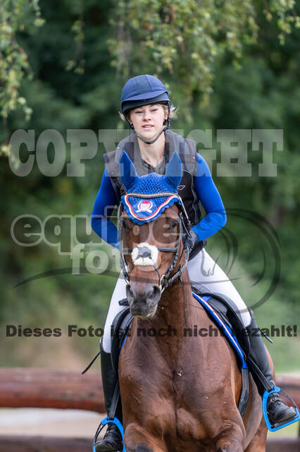 Late-Entry-Vielseitigkeit Langenfeld (11.+13./14.06.2020)