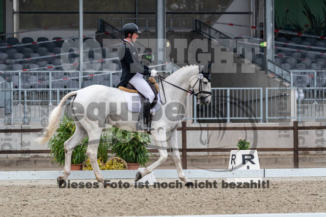 Deutsche Meisterschaft Vielseitigkeit (Luhmühlen)