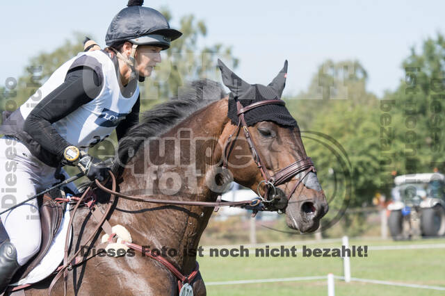 FEI European Championship Eventing 2019