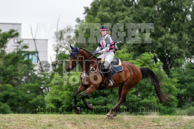 Late-Entry-Vielseitigkeit Langenfeld (11.+13./14.06.2020)