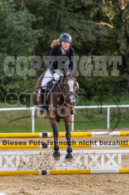 RFV Dinslaken-Hiesfeld (Herbstturnier)