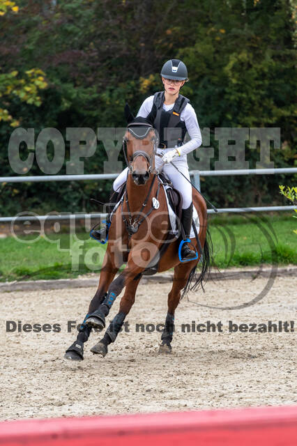 Goldene Schärpe 2020 - Pferde