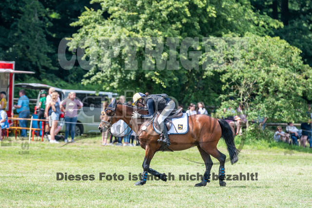 Goldene Schärpe 2021 - Ponys