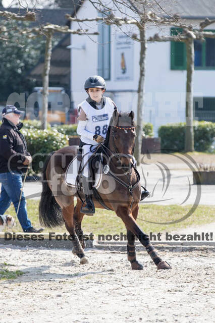 Eventing Langenfeld