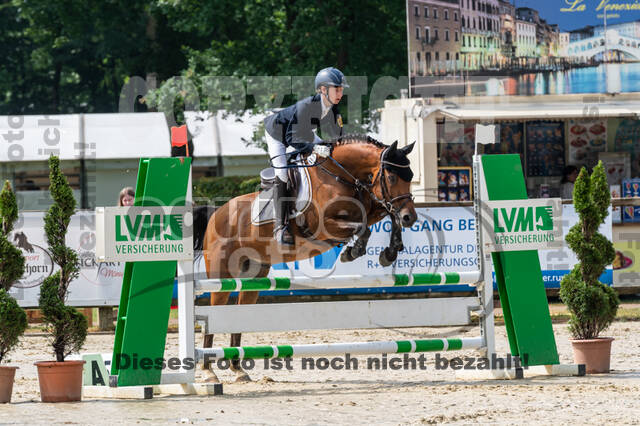Goldene Schärpe 2021 - Ponys