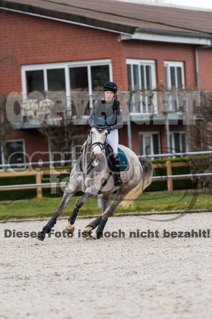 Eventing im Pferdesportzentrum Rheinland (Late Entry 14.03.2022)