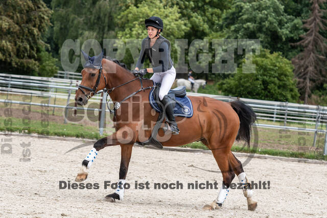 Late-Entry-Vielseitigkeit Langenfeld (06.+07.07.2020)