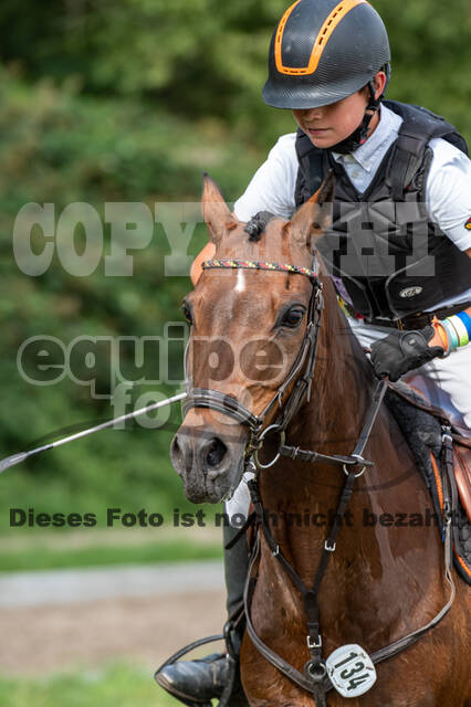 Late-Entry-Vielseitigkeit Langenfeld (06.+07.07.2020)