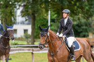 Vielseitigkeit RSV Wesel Obrighoven (26.+27.09.2020)