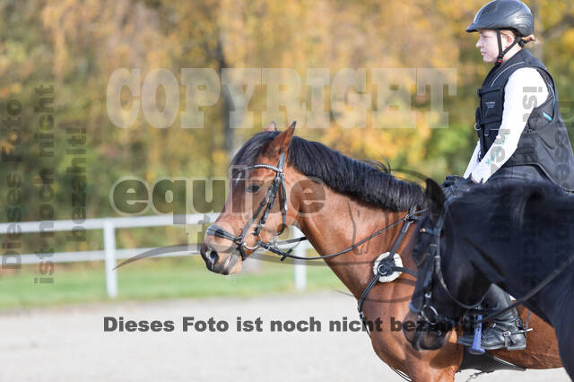 IGV Lehrgang der Sieger der Cups mit Frank Ostholt