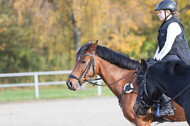 IGV Lehrgang der Sieger der Cups mit Frank Ostholt