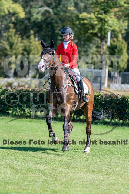 Kronenberg - De Peelbergen (August 2020)