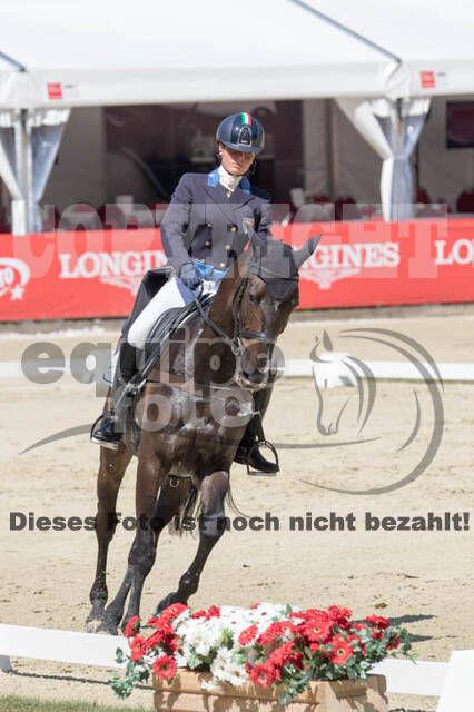 FEI European Championship