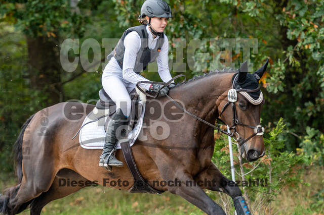 Goldene Schärpe 2020 - Pferde