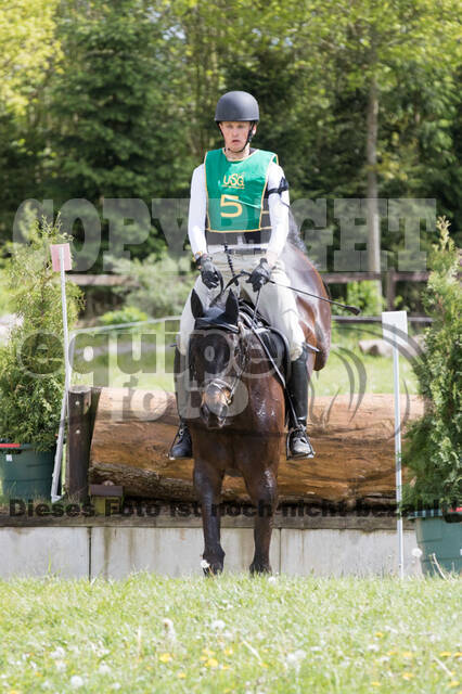 Sterne über Münster 2019 - CCI***S
