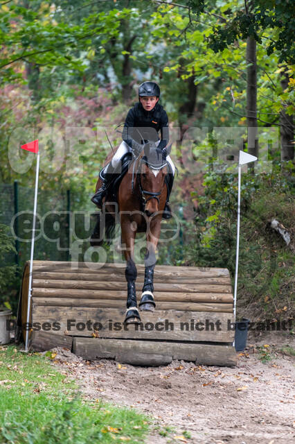 Goldene Schärpe 2020 - Pferde