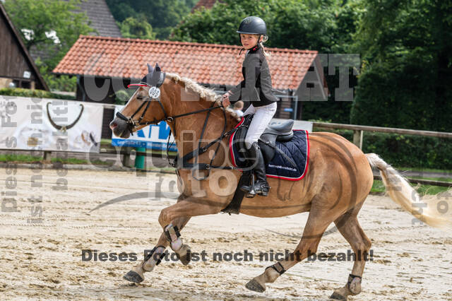 Goldene Schärpe 2021 - Ponys