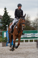 Eventing im Pferdesportzentrum Rheinland (Late Entry 14.03.2022)
