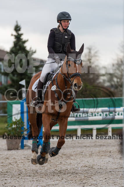 Eventing im Pferdesportzentrum Rheinland (Late Entry 14.03.2022)
