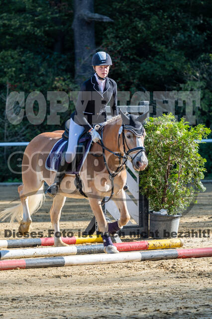 RFV Dinslaken-Hiesfeld (Herbstturnier)