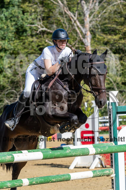 RFV Dinslaken-Hiesfeld (Herbstturnier)