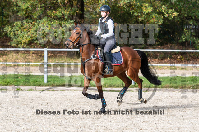 IGV Lehrgang der Sieger der Cups mit Frank Ostholt