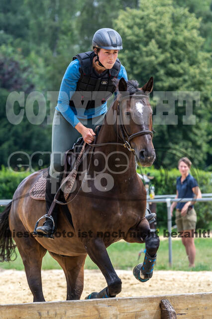 Hunter Geländetraining 10.07.2021 (Sonsbeck)