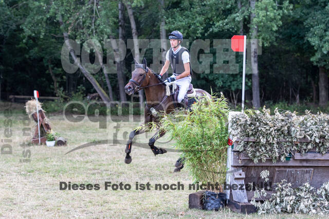 Late-Entry Vielseitigkeit Hamminkeln/Wesel (01.+02.08.2020)