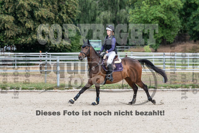 Late-Entry-Vielseitigkeit Langenfeld (11.+13./14.06.2020)