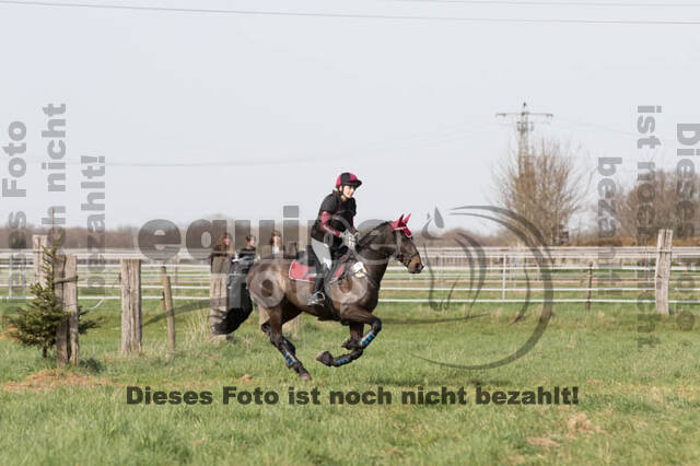 Frühjahrsvielseitigkeit RV Seydlitz Kamp