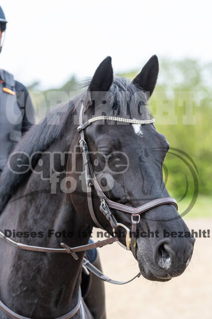Geländetraining ZRFV Hamminkeln (24+25.04.2021)