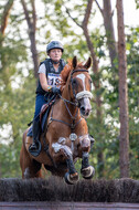 De Peelbergen (August 2020)