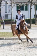 Eventing Langenfeld 2018
