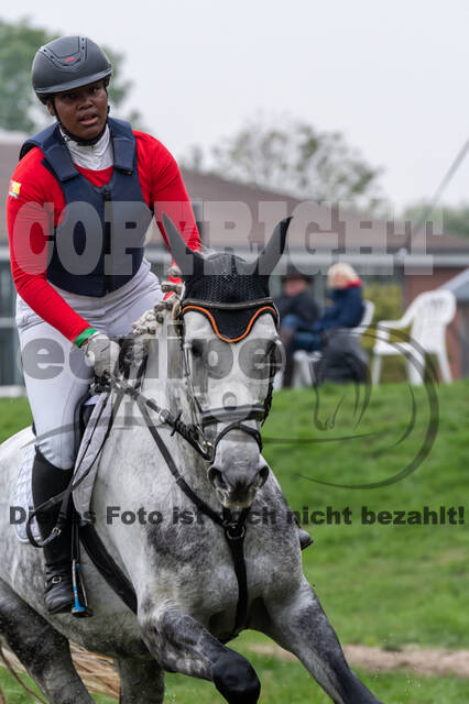 Goldene Schärpe 2020 - Pferde