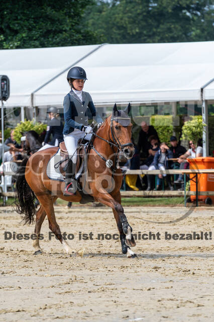 Goldene Schärpe 2021 - Ponys