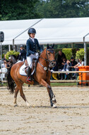 Goldene Schärpe 2021 - Ponys