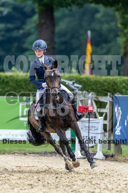 Goldene Schärpe 2021 - Ponys
