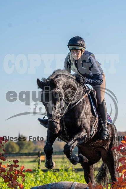Vielseitigkeitslehrgang mit Jürg Kurbel (9.+10.11.2019)