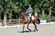 Kronenberg - De Peelbergen (August 2020)