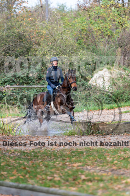 IGV Lehrgang der Sieger der Cups mit Frank Ostholt