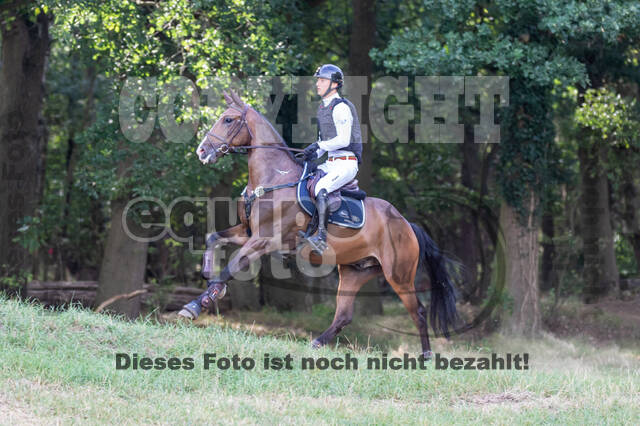 Late-Entry Vielseitigkeit Hamminkeln/Wesel (01.+02.08.2020)