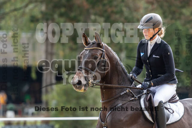 Vielseitigkeit RSV Wesel Obrighoven (26.+27.09.2020)