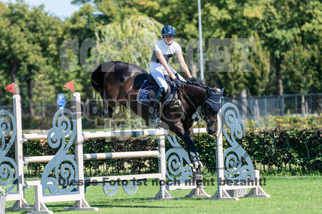 Kronenberg - De Peelbergen (August 2020)